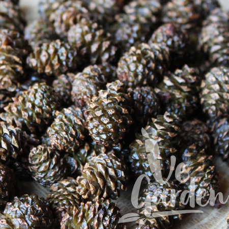 Сосновые шишки цукаты купить